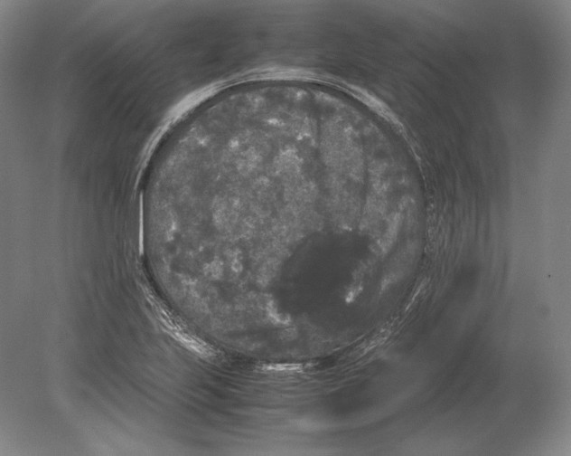 X0000078841223200612041831