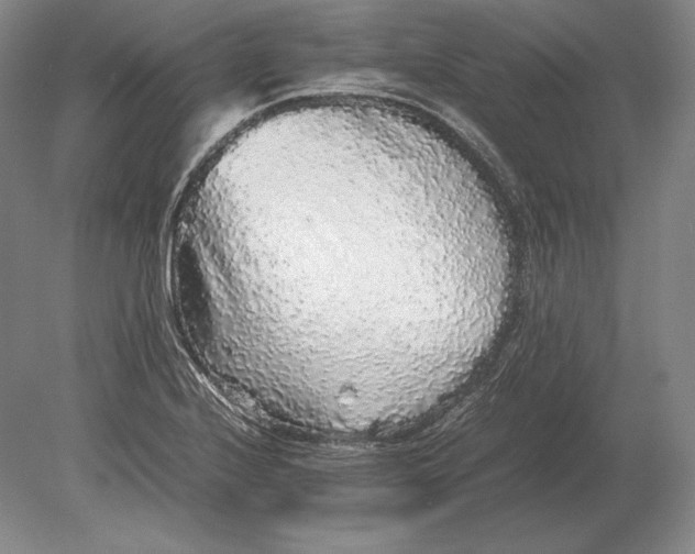 X0000078841224200612041831