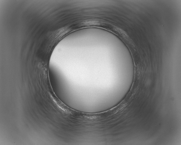 X0000078841225200612041831