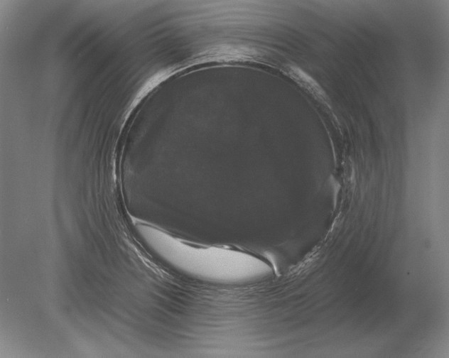 X0000078841226200612041831