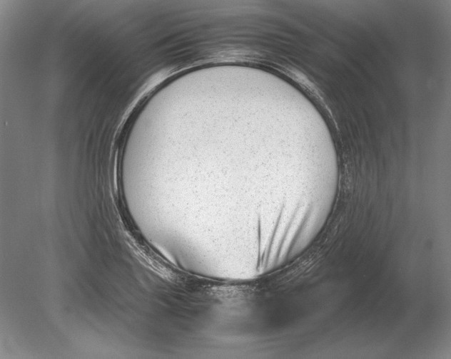 X0000078841227200612041831