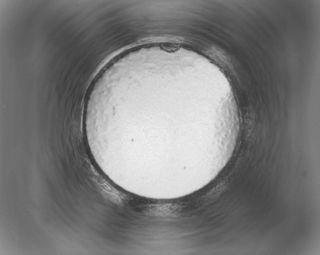 X0000078841228200612041831