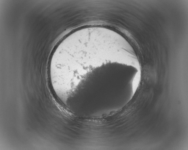 X0000078841229200612041831