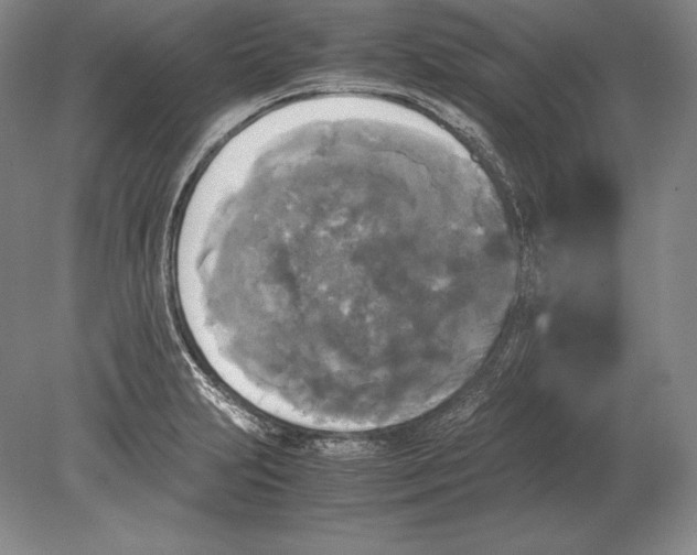 X0000078841231200612041831