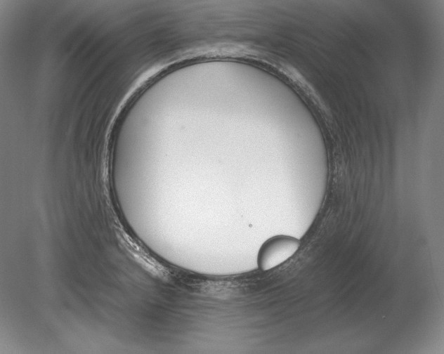 X0000078841232200612041831