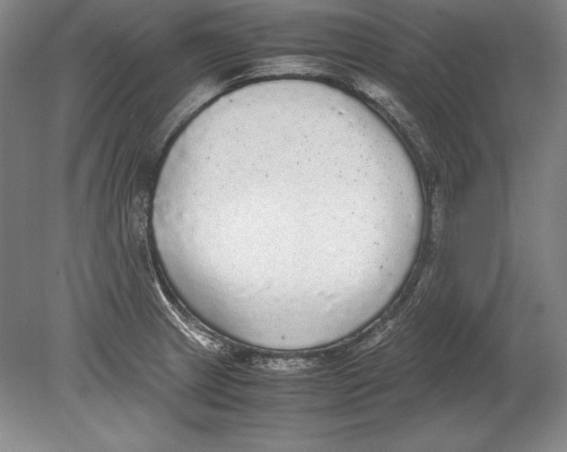 X0000078841233200612041831