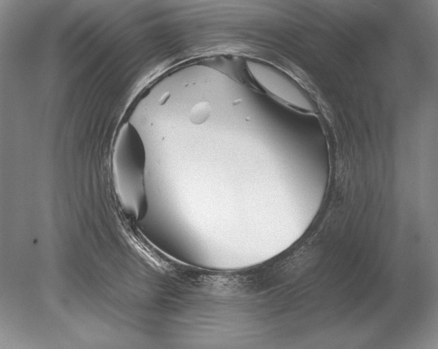 X0000078841234200612041831