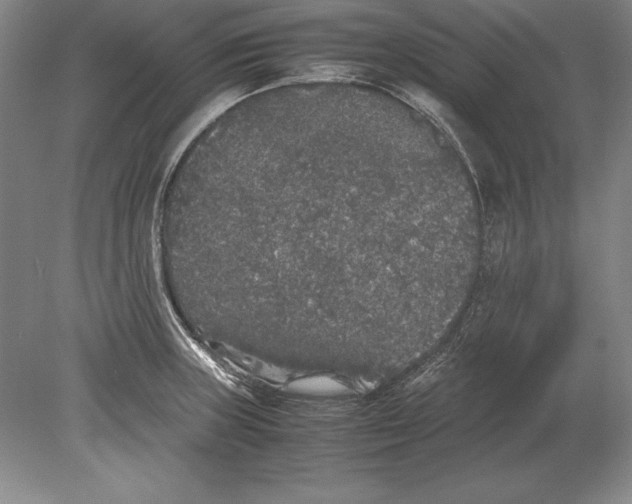 X0000078841235200612041831