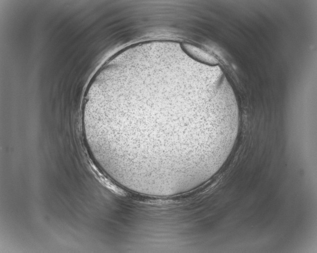 X0000078841236200612041831