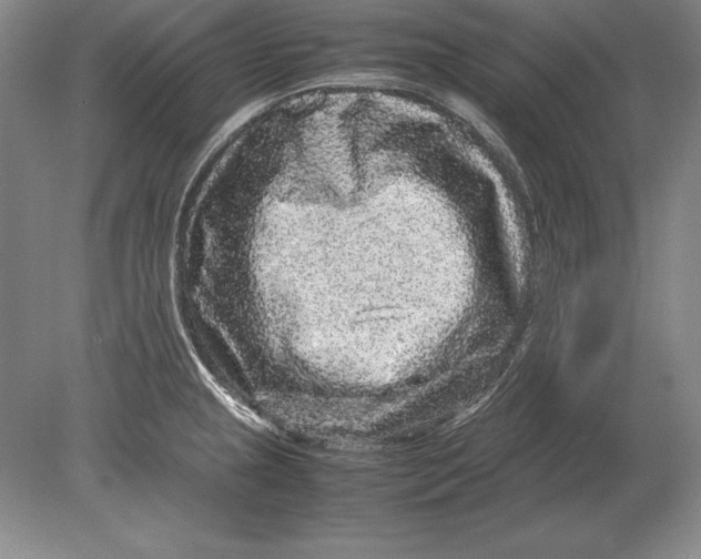 X0000078841237200612041831