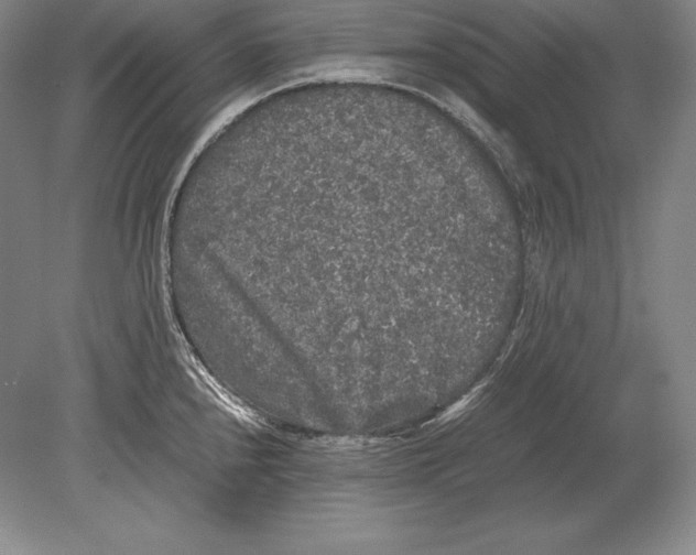 X0000078841240200612041831