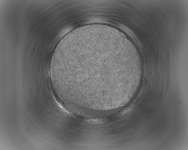 X0000078841241200612041831