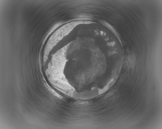 X0000078841243200612041831