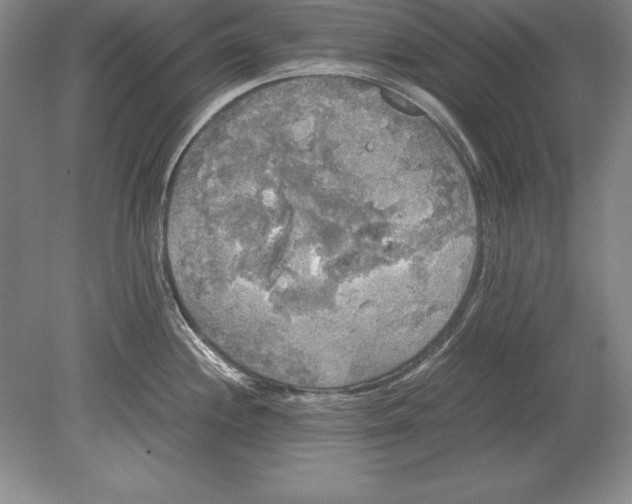 X0000078841244200612041831