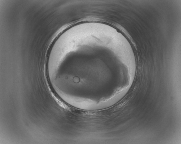 X0000078841245200612041831