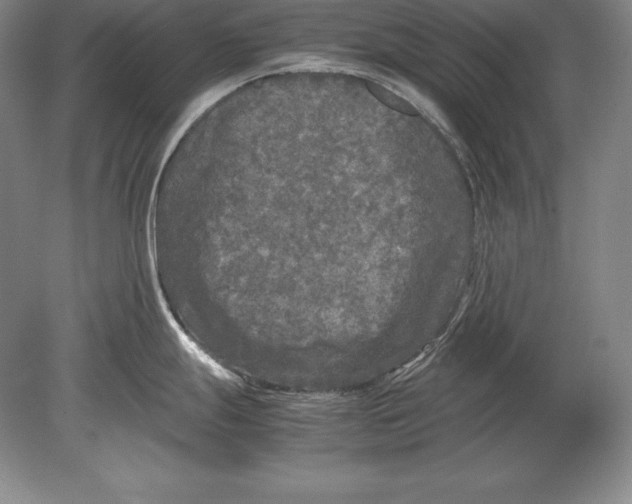 X0000078841247200612041831