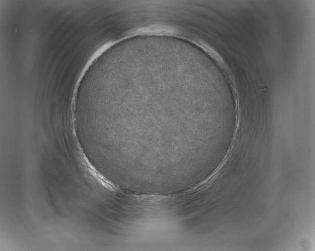 X0000078841248200612041831