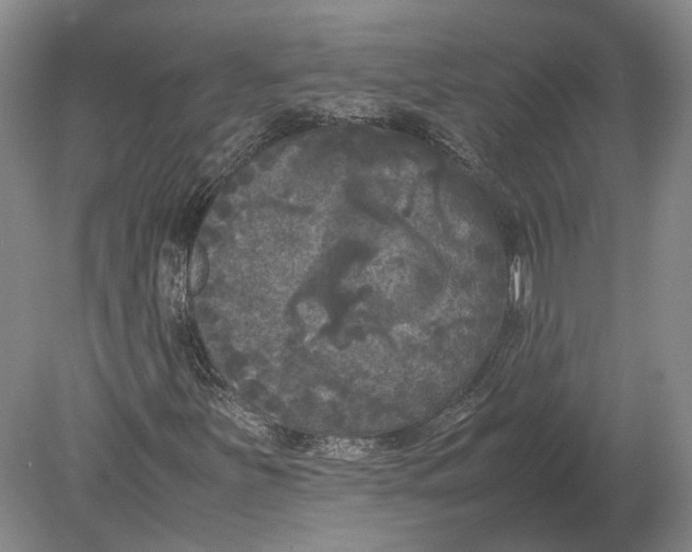 X0000078841251200612041830