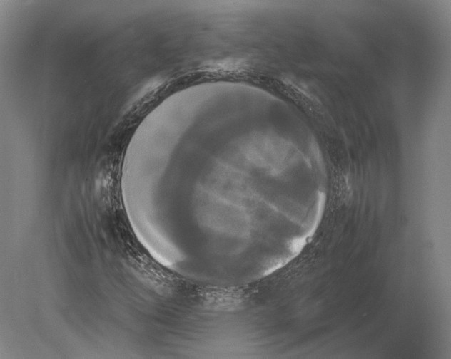 X0000078841254200612041830