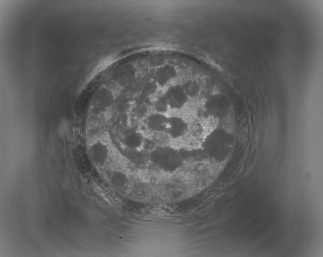 X0000078841255200612041830