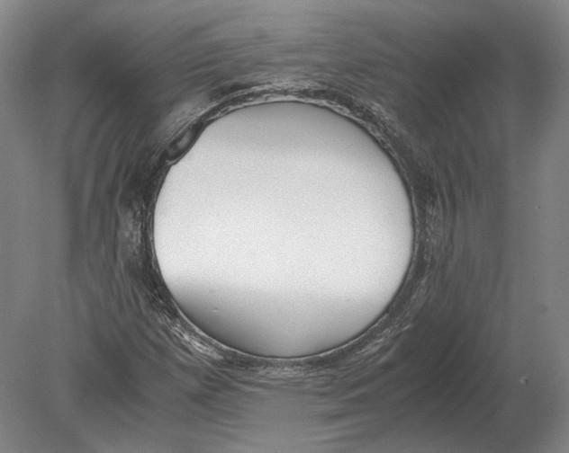 X0000078841257200612041830