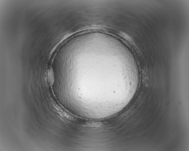 X0000078841260200612041830