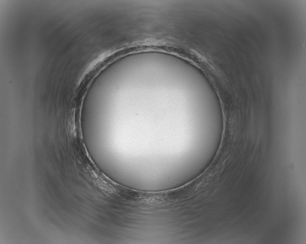 X0000078841262200612041830