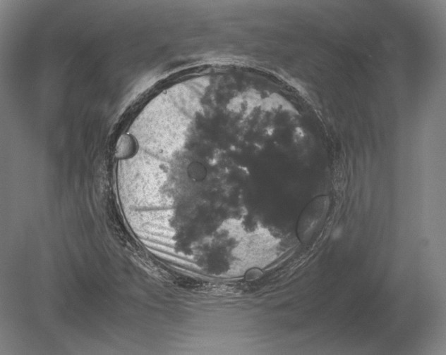 X0000078841263200612041830