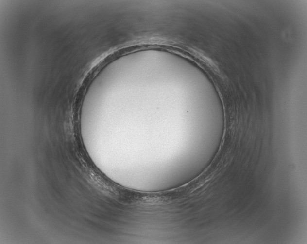 X0000078841264200612041830