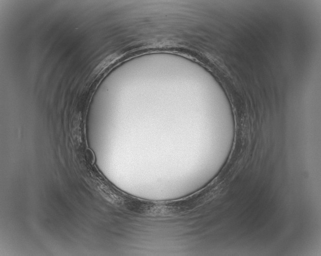 X0000078841265200612041830