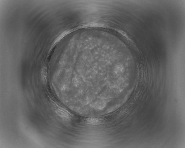 X0000078841266200612041830