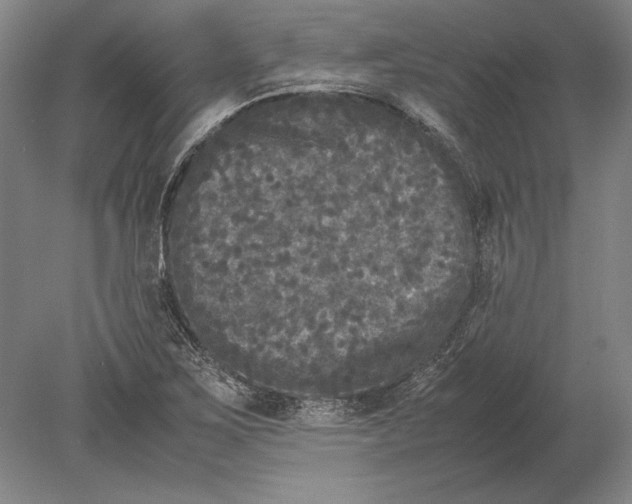 X0000078841267200612041830