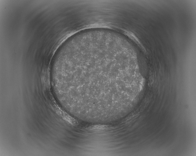 X0000078841268200612041830