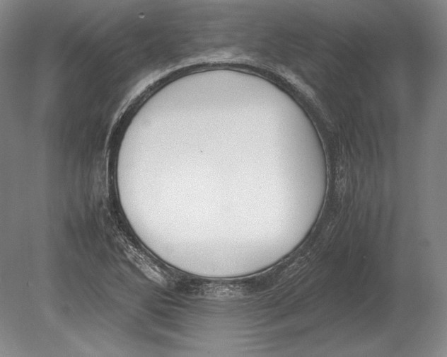 X0000078841270200612041830