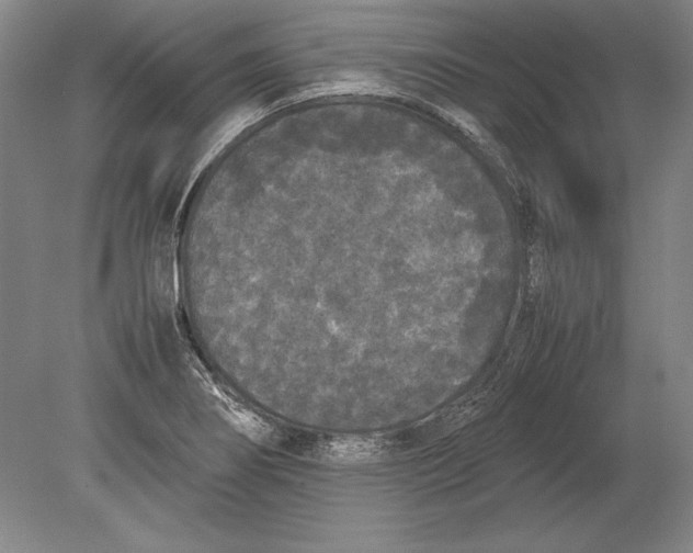 X0000078841274200612041830