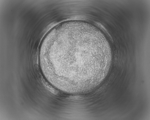 X0000078841276200612041830