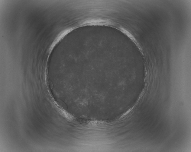 X0000078841277200612041830