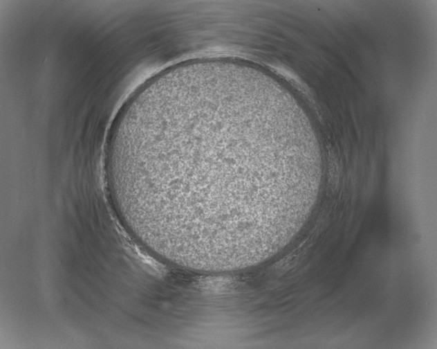 X0000078841278200612041830