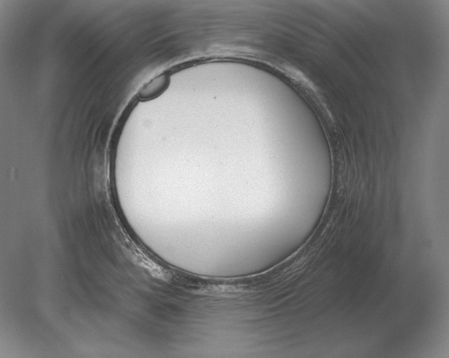 X0000078841280200612041830