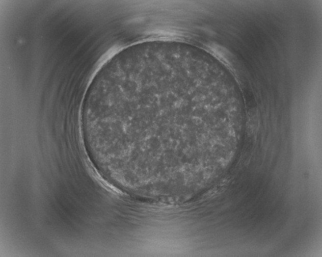 X0000078841283200612041830