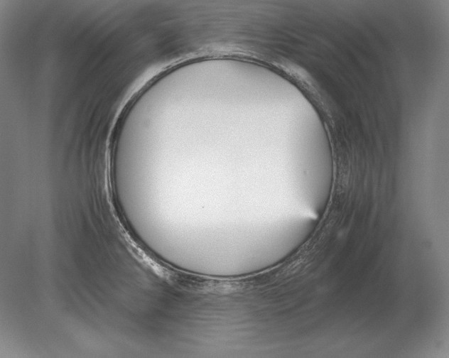 X0000078841286200612041830