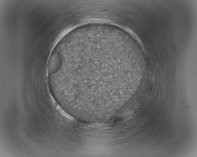 X0000078841287200612041830