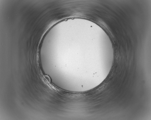 X0000078841292200612041830