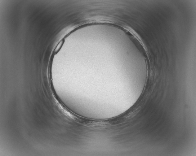 X0000078841293200612041829