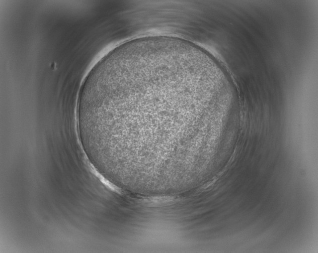 X0000078841294200612041829