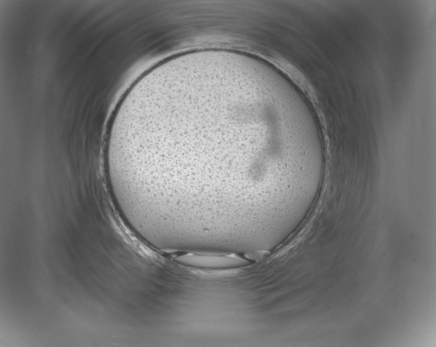 X0000078841296200612041829