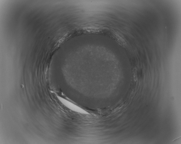 X0000078841298200612041829