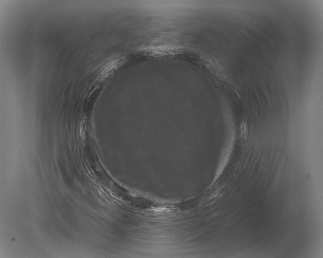 X0000078841300200612041829