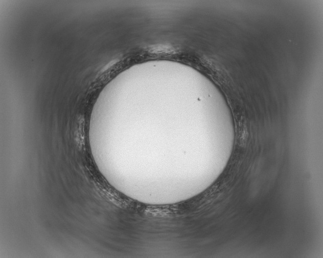 X0000078841301200612041829