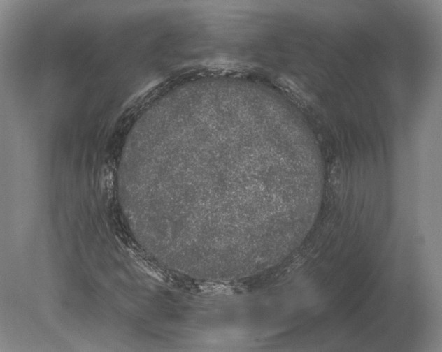 X0000078841302200612041829